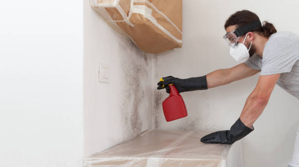Attic Mold Remediation treatment on roof deck in Annville
