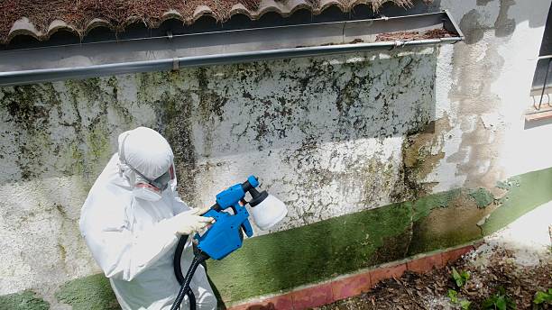 Mold Remediation service in Annville, Annville, PA